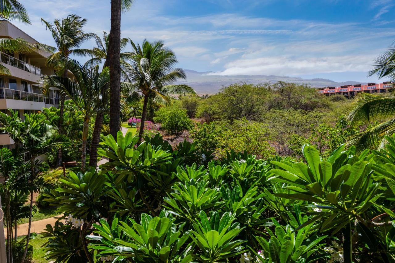 Maui Banyan H311 1Bd 2Ba 3 Min Walk To The Beach In The Heart Of South Kihei! Wailea  Buitenkant foto