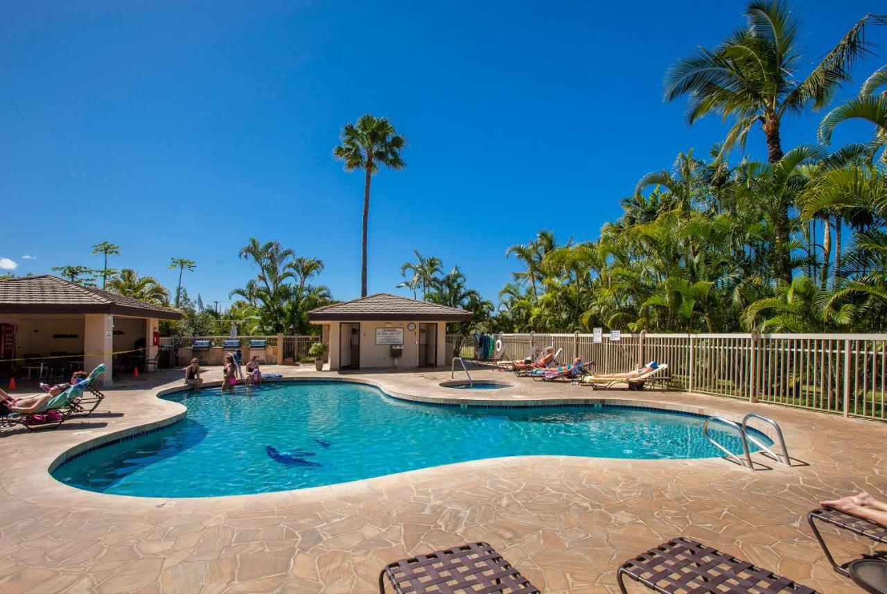 Maui Banyan H311 1Bd 2Ba 3 Min Walk To The Beach In The Heart Of South Kihei! Wailea  Buitenkant foto